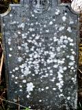 image of grave number 855311
